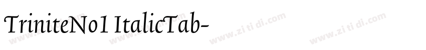 TriniteNo1 ItalicTab字体转换 TriniteNo1 ItalicTab字体转换